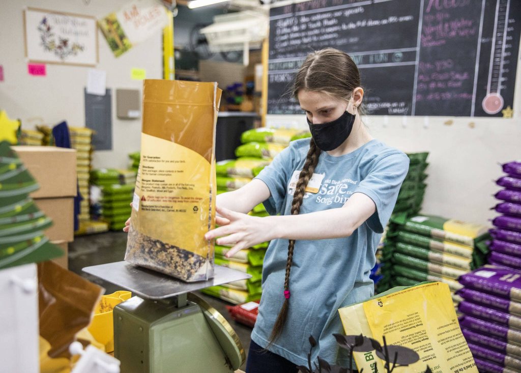 Gillian Montgomery weighs a bag of bird seed at Wild Birds Unlimited on Monday, Oct. 23, 2023 in Everett, Washington. (Olivia Vanni / The Herald)