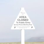 Snowy plover nesting sites are protected areas, with human foot and vehicle traffic through them forbidden. (Michael S. Lockett / Aberdeen Daily World)