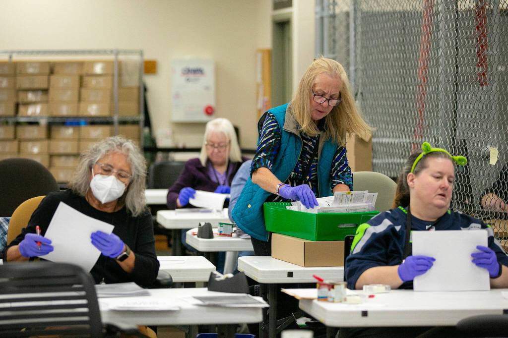 Election workers remove ballots from their envelopes before sending them to be counted at the Snohomish County Auditors office on Friday, Nov. 3, 2023, in downtown Everett, Washington. (Ryan Berry / The Herald)