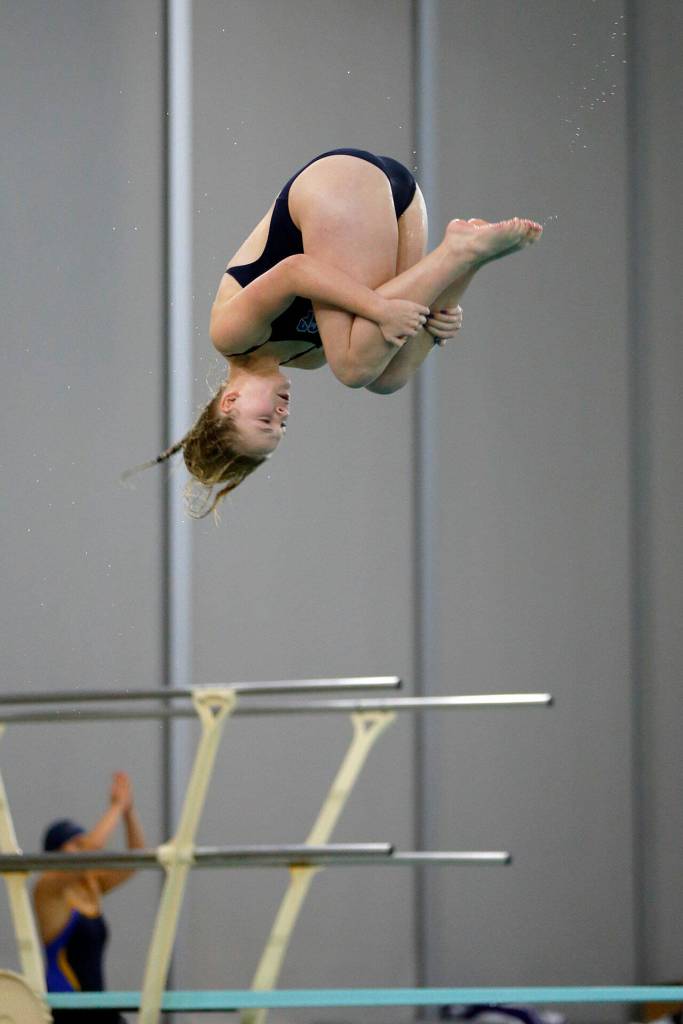 Glacier Peak sophomore Claire Butler dives during the Wesco 4A District 1 Girls Swim and Dive Finals on Saturday, Nov. 4, 2023, at the Snohomish Aquatic Center in Snohomish, Washington. (Ryan Berry / The Herald)