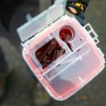 Evan Reed holds a sharps container filled halfway with needles on Sunday, Nov. 19, 2023, in Everett, Washington. Reed said he has already filled one container during his cleanups and is onto his second one. (Ryan Berry / The Herald)