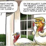 toon