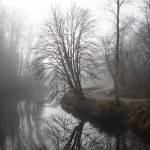 A person runs along the Sammamish River at Bothell Landing Park in Bothell, Washington on Tuesday, Nov. 28, 2023. (Annie Barker / The Herald)