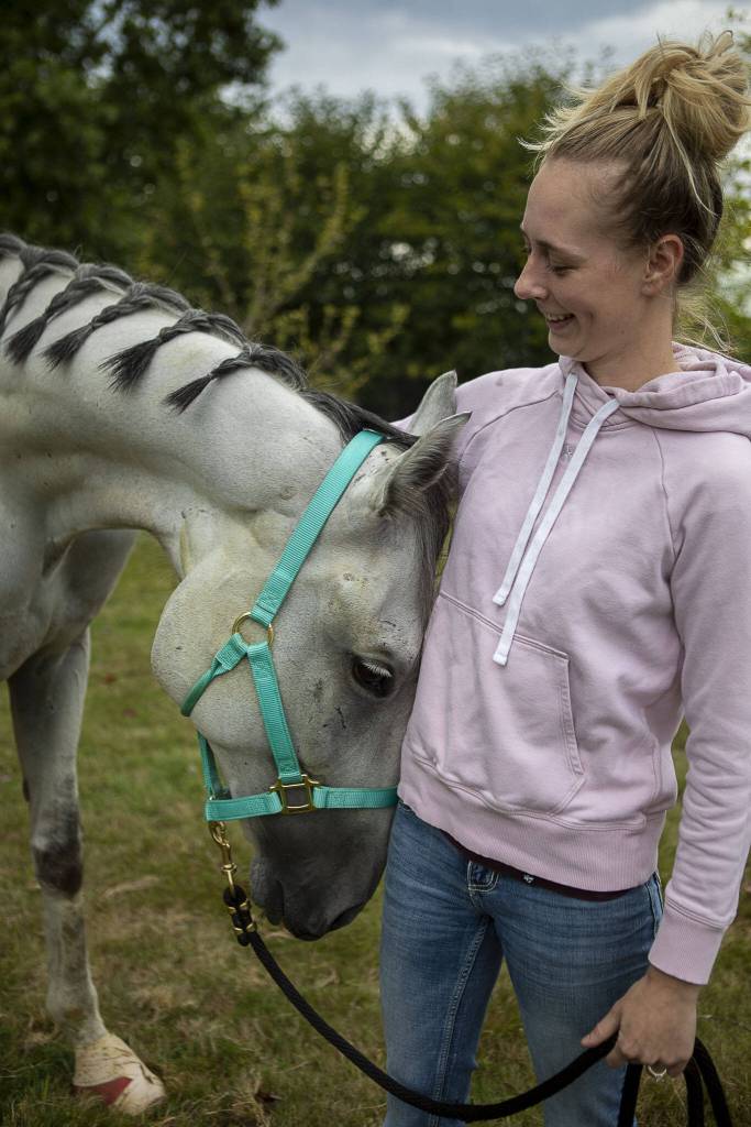 Manny rests his head on Kaisa at the Gifford Horses barn in Snohomish, Washington on Thursday, Sept. 7, 2023. (Annie Barker / The Herald)