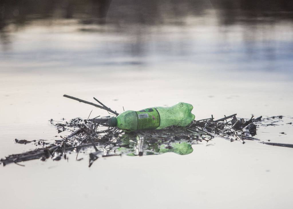 A Mountain Dew bottle floats in Ebey Slough on Tuesday, Nov. 21, 2023 in Everett, Washington. (Olivia Vanni / The Herald)