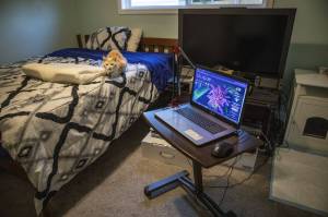 Diesel, the family cat sits in David Woodwards room in Lake Stevens, Washington on Saturday, Nov. 25, 2023. When not caring for animals, cooking, or taking care of daily tasks David relaxes in his room. (Annie Barker / The Herald)
