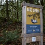 A Forterra sign at the Lake Serene and Bridal Veil Falls trailhead in Index, Washington on Wednesday, Nov. 29, 2023. (Annie Barker / The Herald)