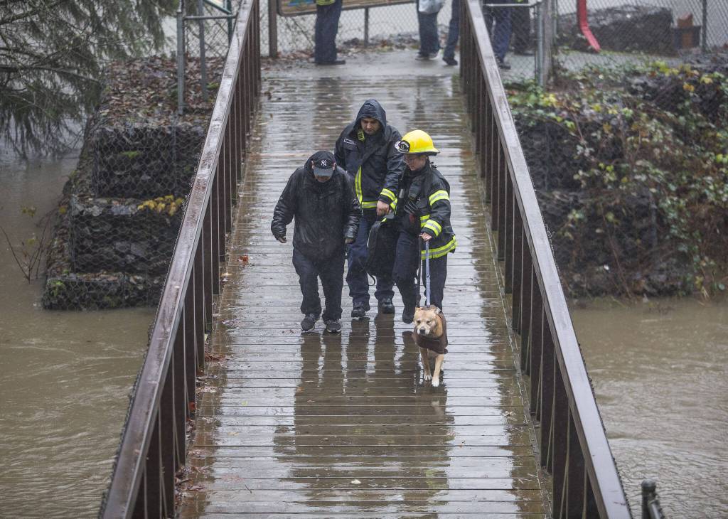 District 4 firefighters walk a man and his dog across a bridge to be checked out by medics after being rescued from a flooded portion of Al Borlin Park on Tuesday, Dec. 5, 2023 in Monroe, Washington. (Olivia Vanni / The Herald)