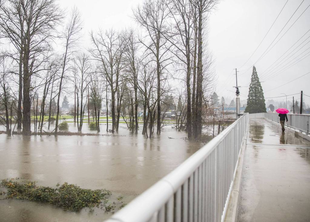 A man walks across the Sultan River pedestrian bridge on Tuesday, Dec. 5, 2023 in Sultan, Washington. (Olivia Vanni / The Herald)