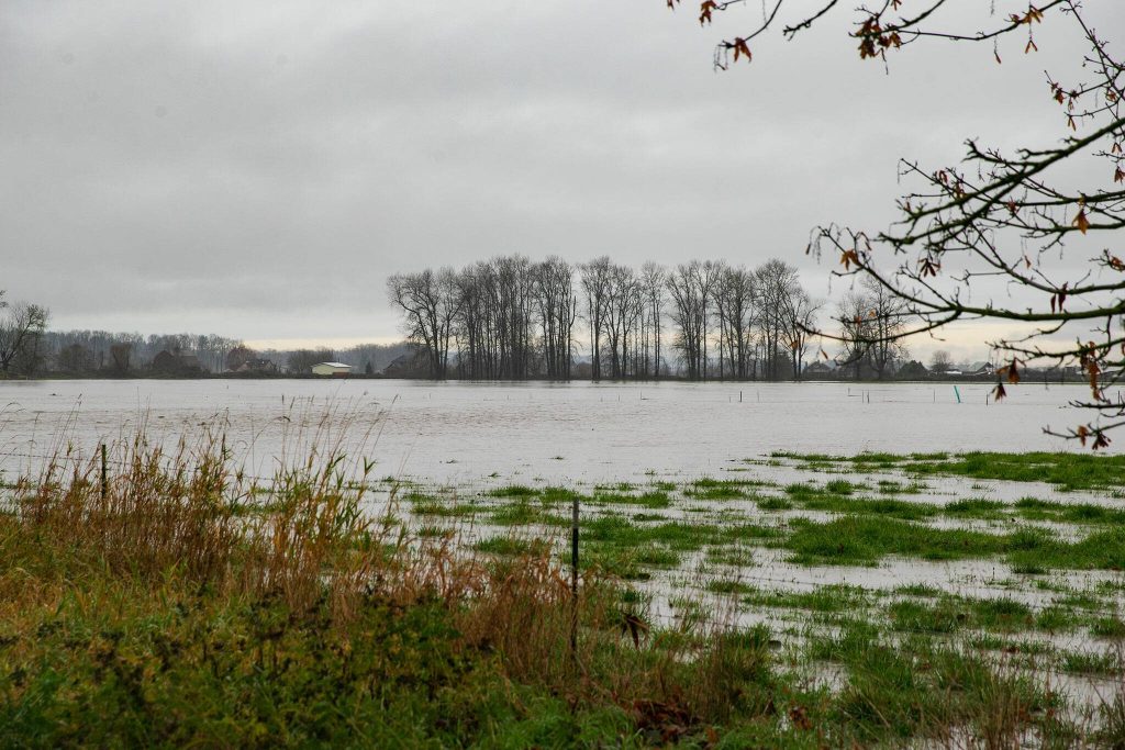 Farmland is inundated by water during heavy flooding on Tuesday, Dec. 5, 2023, outside Silvana, Washington. (Ryan Berry / The Herald)