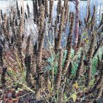 Agastache Blue Fortune in Steves winter garden. (Steve Smith)