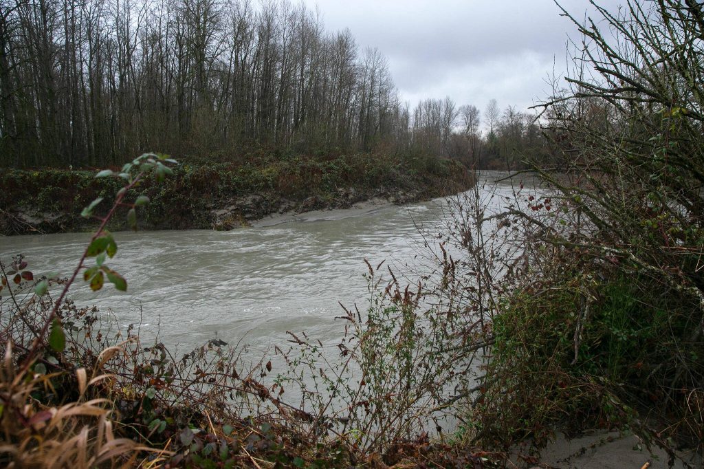 The Stillaguamish River returns to normal levels barely a day after flooding the town of Silvana on Thursday, Dec. 7, 2023, in Silvana, Washington. (Ryan Berry / The Herald)