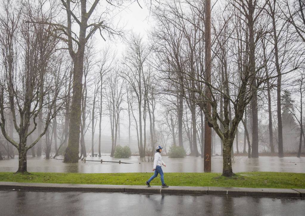 A woman walks past a flooded River Park on Tuesday, Dec. 5, 2023 in Sultan, Washington. (Olivia Vanni / The Herald)