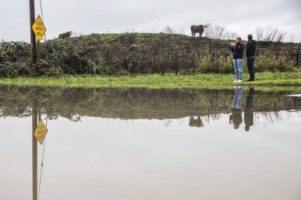 A cow watches from higher ground while Brooklyn Holton, left, and Breyline Sawyer, right, stop to take photos of the flooding along Old Snohomish Monroe Road on Wednesday, Dec. 6, 2023 in Snohomish, Washington. (Olivia Vanni / The Herald)