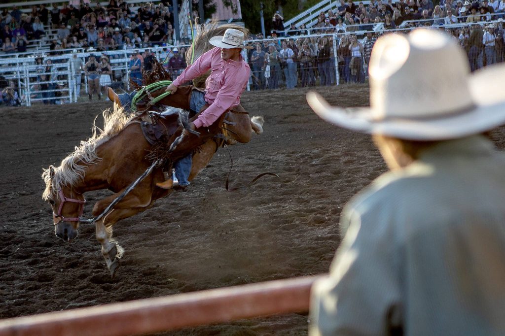 Jake Iverson, 23, rides a horse during the ranch saddle bronc event during the Timberbowl Rodeo on Saturday, June 24, 2023, in Darrington, Washington. Later on in the ride, the horse broke its leg and was evacuated from the ring. (Annie Barker / The Herald)