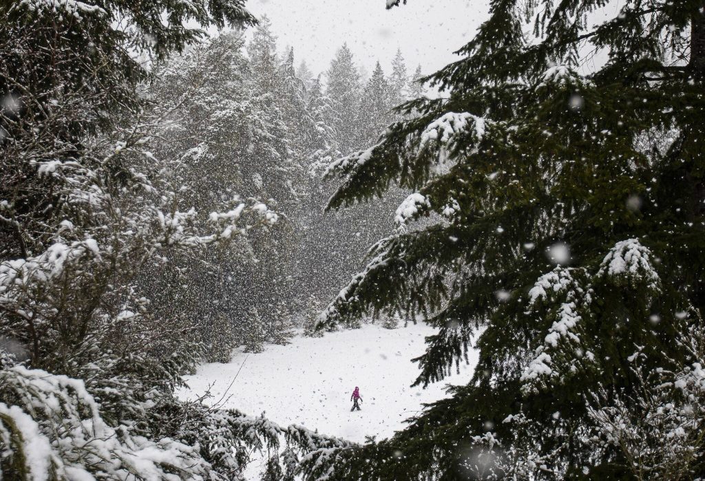 Avery Nicolayeff, 11, walks through an open field covered in snow at Forest Park on Tuesday, Feb. 28, 2023 in Everett, Washington. (Olivia Vanni / The Herald)