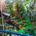 Molbaks Garden Cafe in Woodinville, Washington in 2016. (Andrea Brown / The Herald)