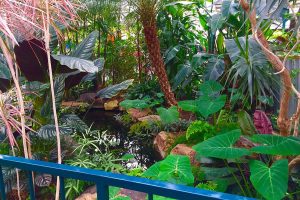 Molbak’s Garden Cafe in Woodinville, Washington. Photographed in 2016. (Andrea Brown / The Herald)