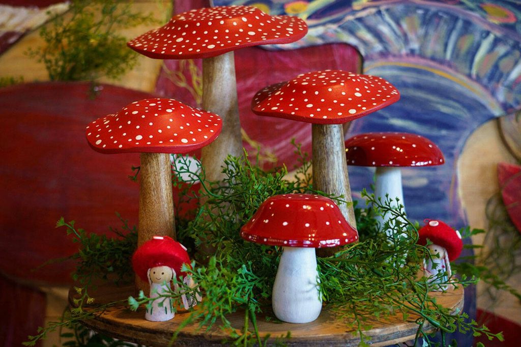 A display of fungi of the red-and-white variety can be found at Bayview Garden. (Photo by David Welton)