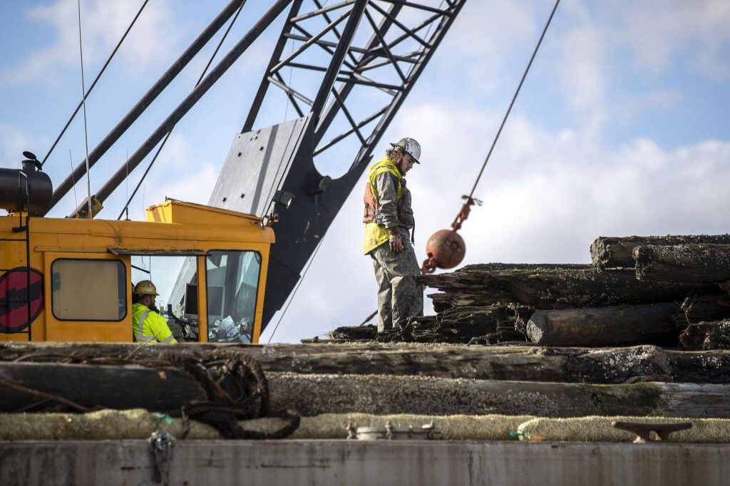 A team works to remove old toxic pilings from the water as part of larger salmon restoration plan near Ebey Waterfront Park in Marysville, Washington on Friday, Feb. 10, 2023. (Annie Barker / The Herald)