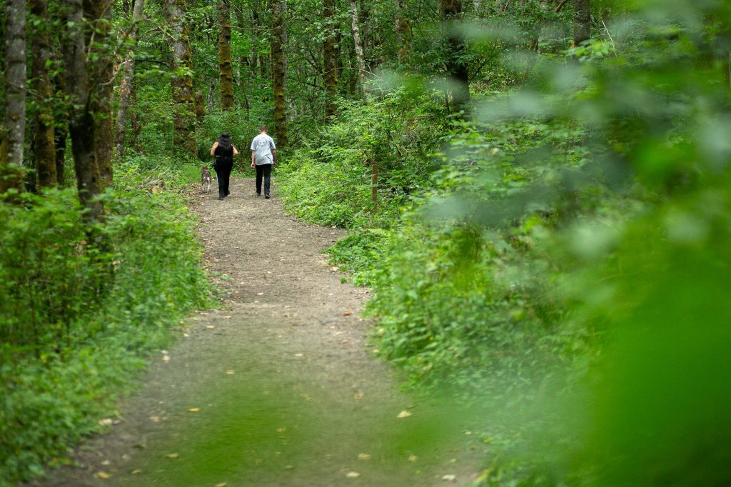 Two people head out with their dog along the Beaver Lake Trail Saturday, July 16, 2022, at Lord Hill Park in Snohomish, Washington. (Ryan Berry / The Herald)