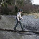 Snohomish County Parks senior park ranger Chelsea Kapica walks across a fallen tree limb as she patrols the beach at Picnic Point Park on Thursday, Jan. 14, 2020 in Edmonds, Washington. (Andy Bronson / The Herald)