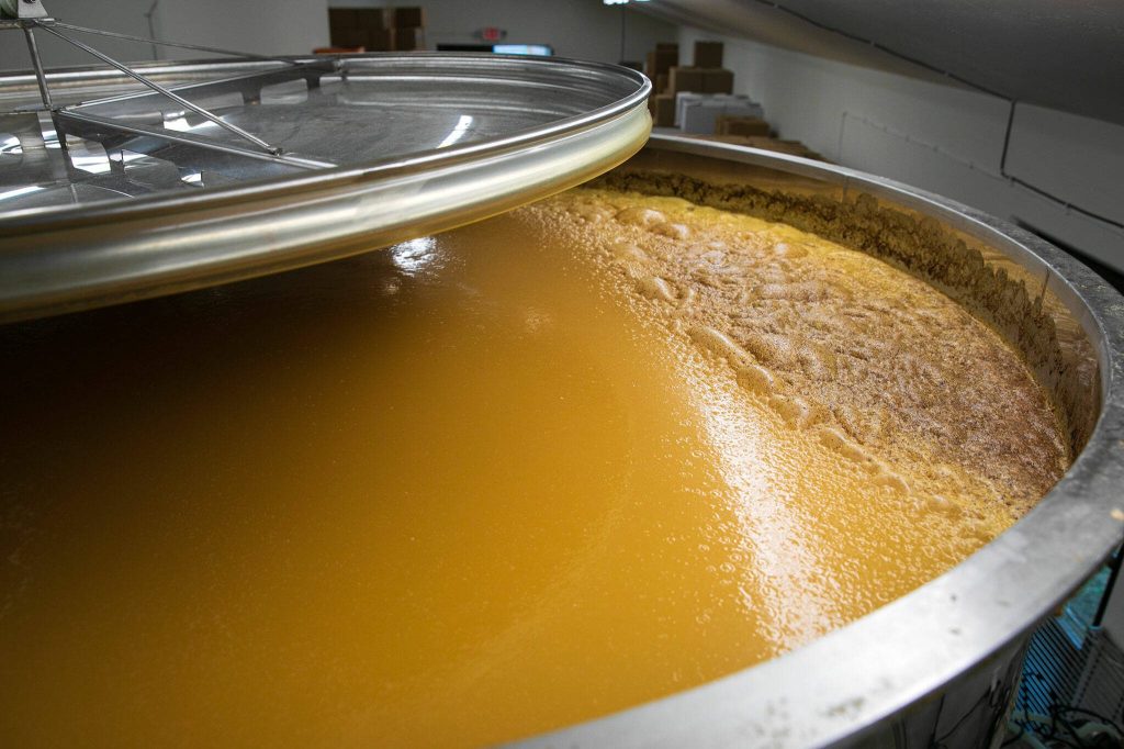 A large vat of mead ferments in the brewhouse at Hierophant Meadery on Wednesday, Oct. 4, 2023, in Freeland, Washington. Co-owner Michelle Scandalis said most of the establishments products begin as this base-level mead before flavors are introduced after the main fermenting period. (Ryan Berry / The Herald)