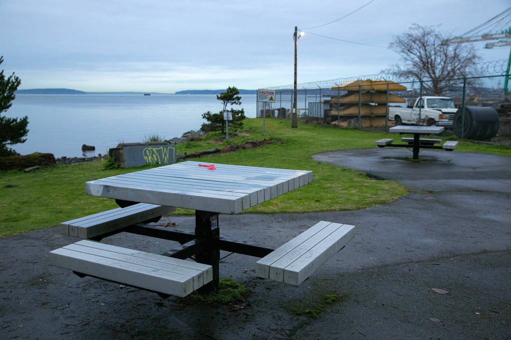 Two benches and a patch of grass sit at the end of Pigeon Creek Trail on Tuesday, Jan. 2, 2024, in Everett, Washington. (Ryan Berry / The Herald)