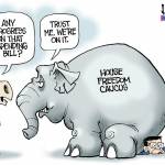 toon