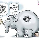 toon