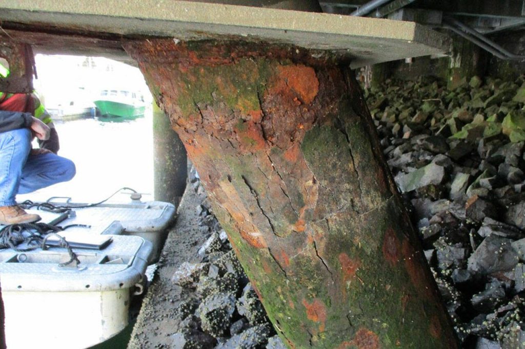 The current state of existing raker piles at the portwalk and seawall at the Port of Edmonds. (Photo provided by the Port of Edmonds)