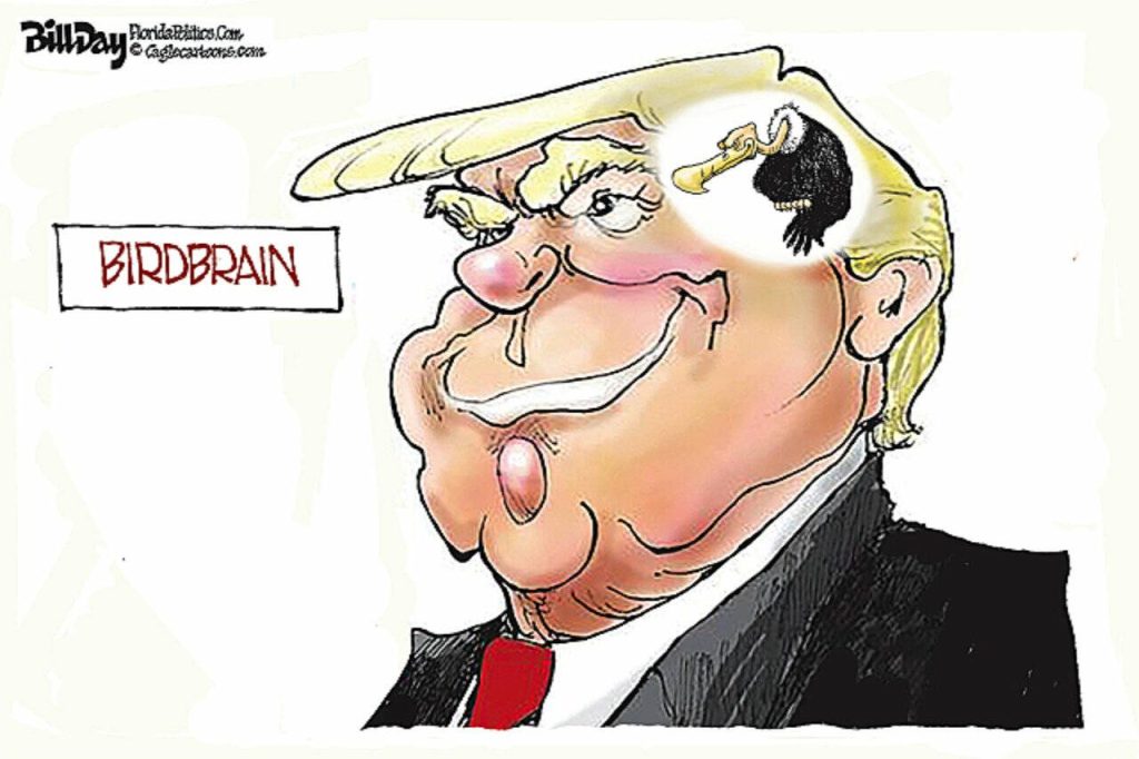 toon