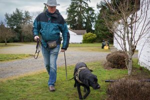 Dave Thompson and Thor are on the hunt. (Photo by David Welton)