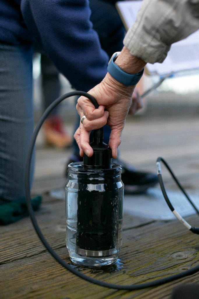 Lynn Lichtenberg uses a turbidity meter to test stormwater runoff at the Port of Everett waterfront Friday, Feb. 16, 2024, in Everett, Washington. (Ryan Berry / The Herald)