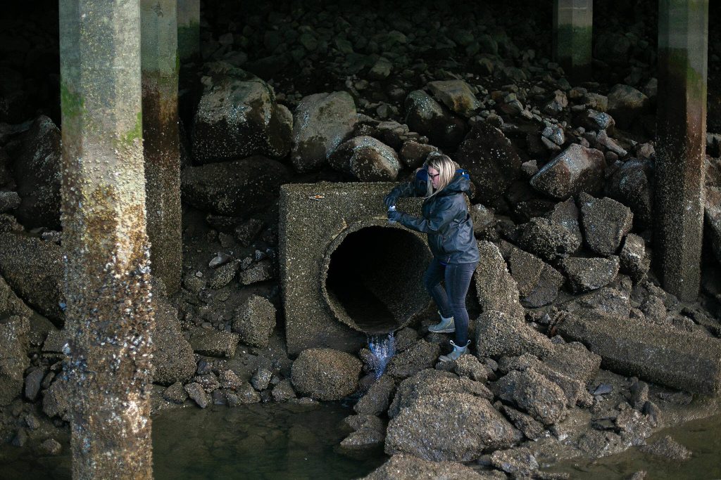 Port of Everett maintenance crew member Elisha Gidley stands below the boardwalk and fills a bottle with water from a stormwater drain at the Port of Everett waterfront Friday, Feb. 16, 2024, in Everett, Washington. Maintenace workers help volunteers collect samples of water at hard-to-reach spots. (Ryan Berry / The Herald)