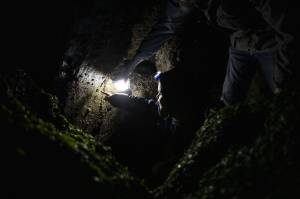 People look for ocean creatures during the Starlight Beach Walk on Tuesday, Feb. 6, 2024 near the Olympic Beach Visitor Station in Edmonds, Washington. (Annie Barker / The Herald)