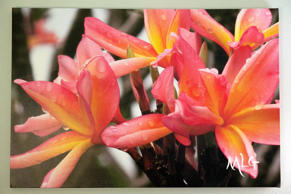 Artwork by Megan Getrum adorns the walls of the soft room at the Mountlake Terrace Police Department on Tuesday, Jan. 30, 2024, in Mountlake Terrace, Washington. (Ryan Berry / The Herald)