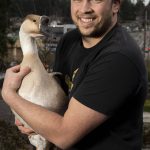 Ryan Carlson, 31, and his goose Henrietta pose for a photo outside his home in Everett. (Annie Barker / The Herald)