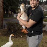 Ryan Carlson, 31, and his goose Henrietta pose for a photo outside his home on Monday Feb. 5, 2024 in Everett, Washington. (Annie Barker / The Herald)