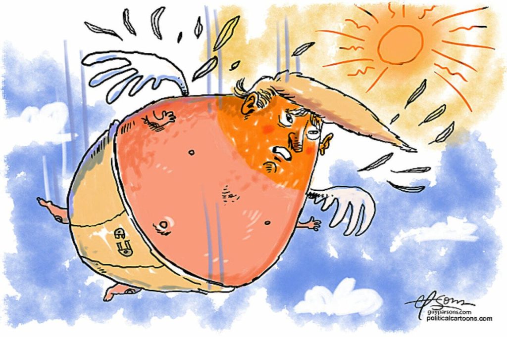 toon