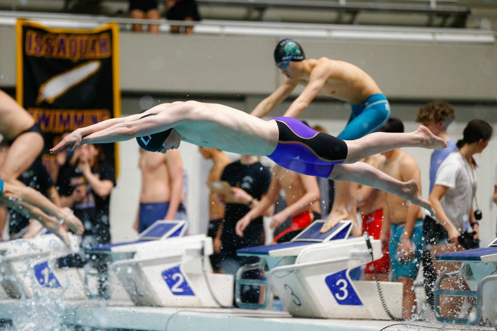 A Lake Stevens swimmer dives in during the teams first place finish in the 4x50 freestyle relay during the WIAA 4A Boys Swim and Dive Championships on Saturday, Feb. 17, 2024, at the Weyerhaeuser King County Aquatic Center in Federal Way, Washington. (Ryan Berry / The Herald)