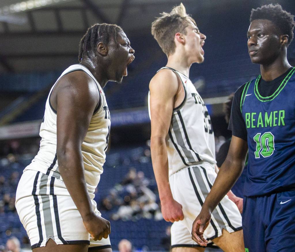 Mountlake Terrace players celebrate a foul called against Todd Beamer during the 3A boys state basketball game on Wednesday, Feb. 28, 2024 in Tacoma, Washington. (Olivia Vanni / The Herald)