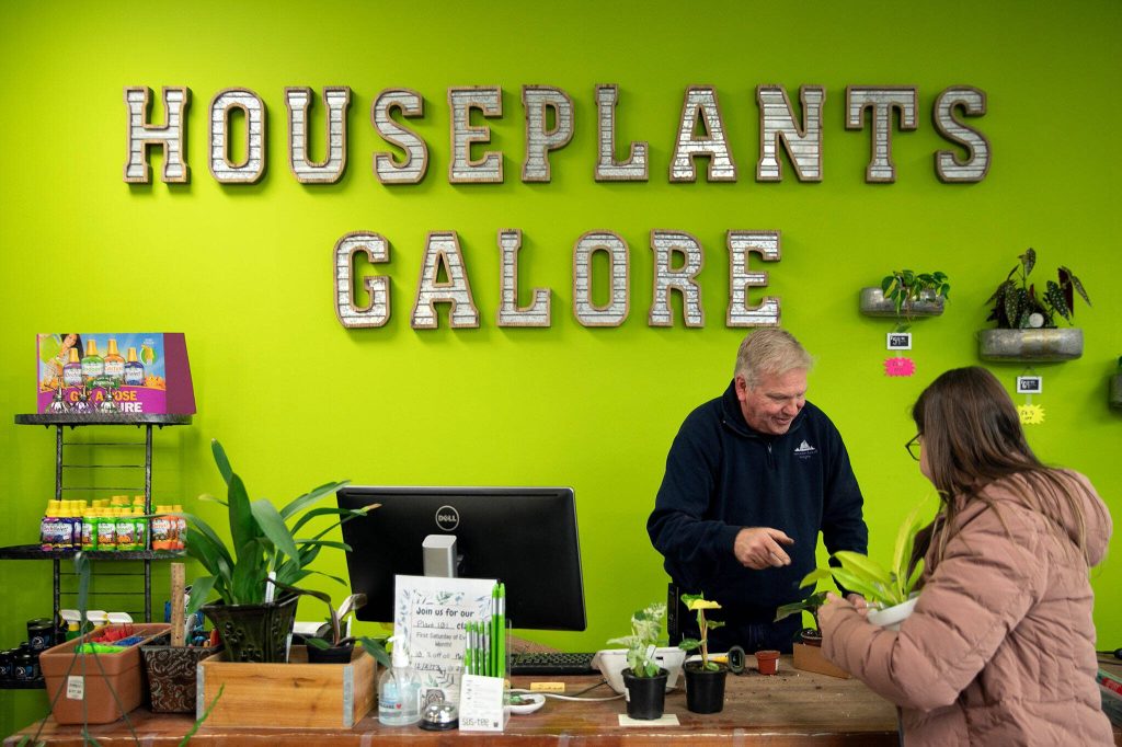 Steve Compton helps a customer check out before assisting her with taking plants to her car at Houseplants Galore on Friday, Jan. 12, 2024, in Everett, Washington. (Ryan Berry / The Herald)