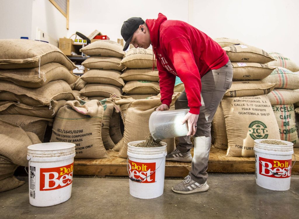 Trevor Peterson fills up buckets with coffee beans to be roasted at Vista Clara Coffee on Monday, Jan. 15, 2024 in Snohomish, Washington. (Olivia Vanni / The Herald)