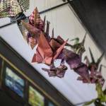 Origami cranes are displayed inside the Grouchy Chef on Sunday, March 3, 2024 in Mukilteo, Washington.(Annie Barker / The Herald)
