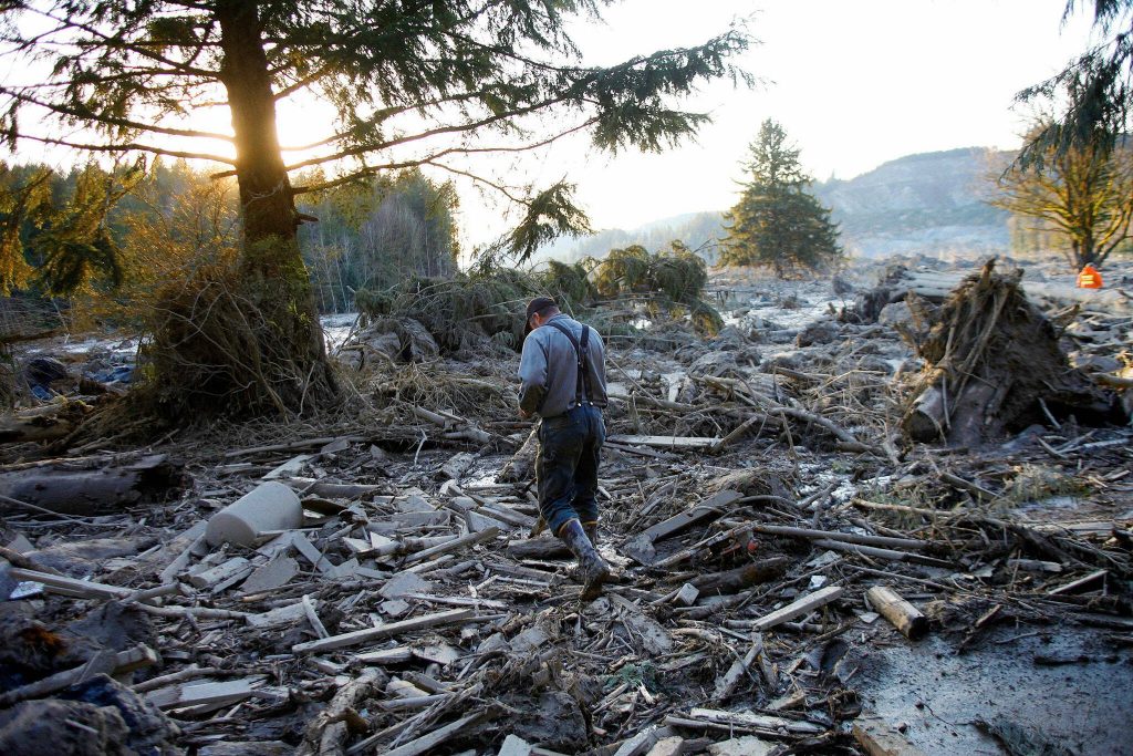 Scott and Erika Morris of the Darrington Historical Society have been working with UW students for a year now on archiving information and images on the Oso mudslide. Photos like this one of Steve Skaglund walking across the rubble of the fatal mudslide on March, 23, 2014, are part of the websites photographic record. (Genna Martin / The Herald)