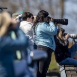 People look for orca whales on Monday, March 18, 2024 at Sandy Point in Langley, Washington. (Annie Barker / The Herald)