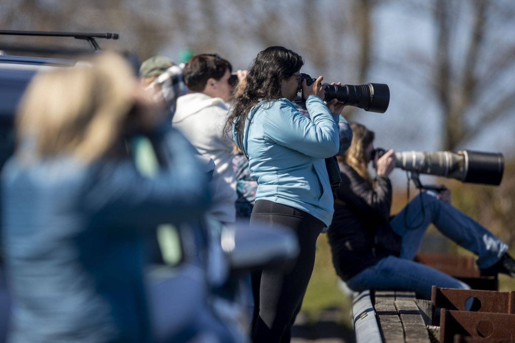 People look for orca whales on Monday, March 18, 2024 at Sandy Point in Langley, Washington. (Annie Barker / The Herald)