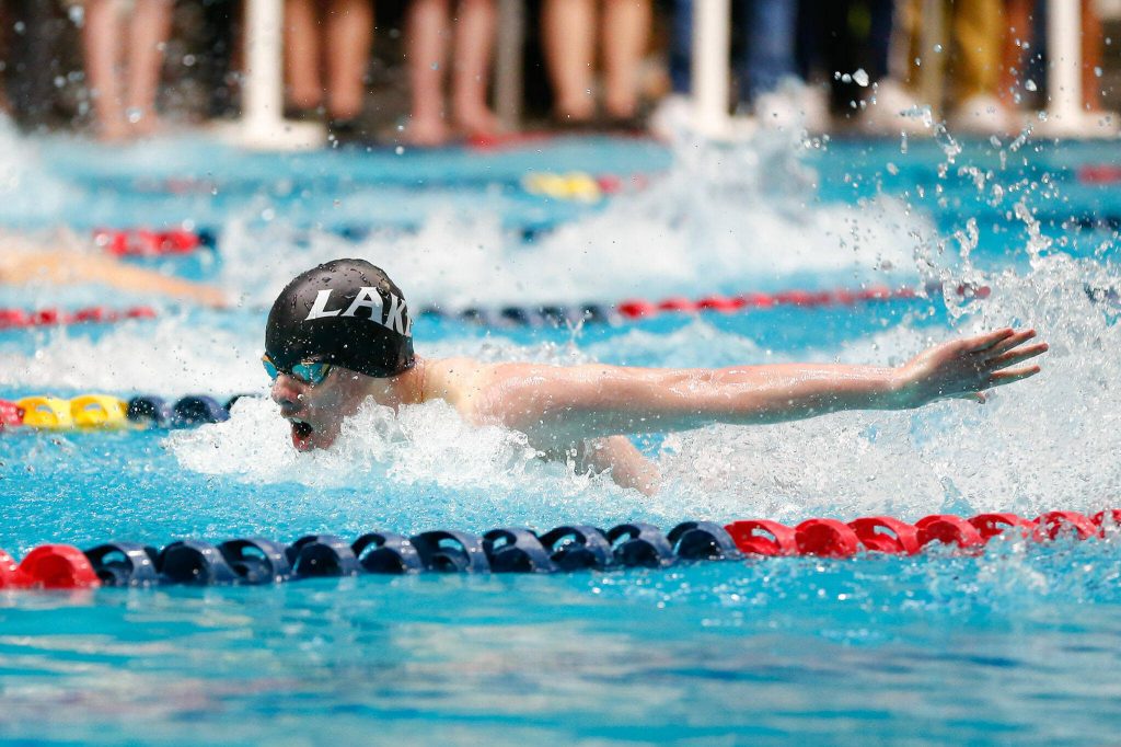 Lake Stevens junior Camden Blevins-Mohr swims his way to a state title in the 100-yard butterfly during the Class 4A state championships on Feb. 17 at the Weyerhaeuser King County Aquatic Center in Federal Way. (Ryan Berry / The Herald)