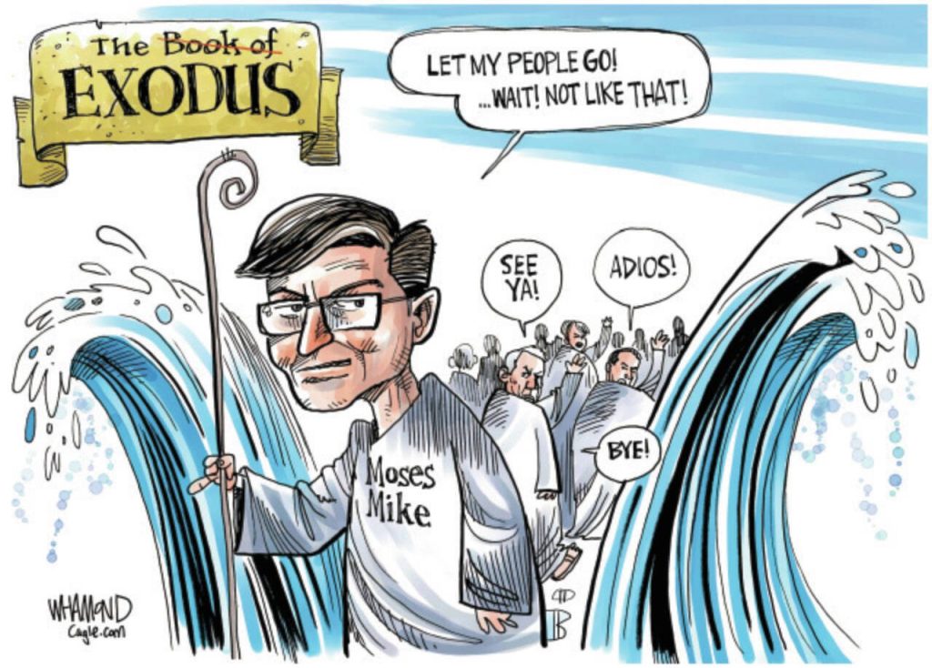 toon
